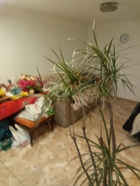 Piata Rahova -str Berzovei- Pucheni