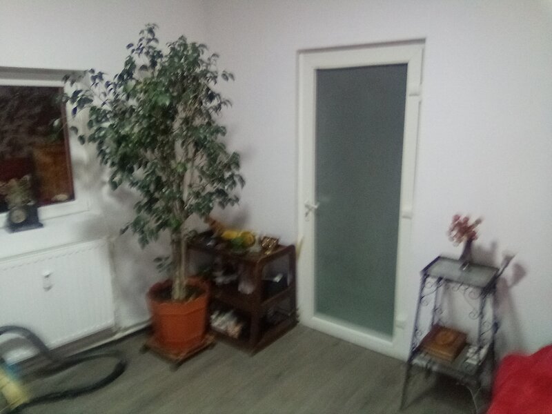 Piata Rahova -str Berzovei- Pucheni